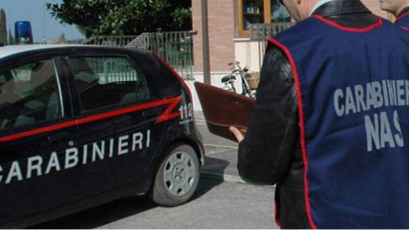 Topi nel pastificio ad Alba: chiuso dai Nas