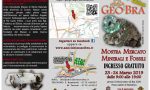 “GeoBra” 2019: minerali, fossili e gemme in mostra