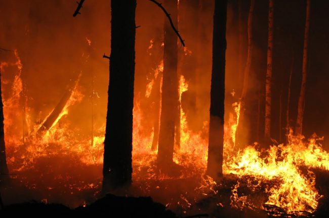 Vigili del fuoco di Barge e Saluzzo per nuovo incendio nella zona di Madonna della Neve
