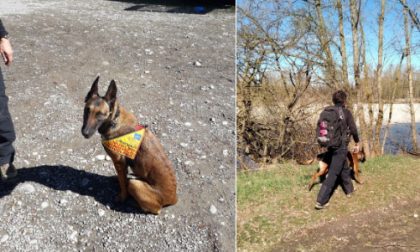 Basta cani avvelenati: cane antiveleno e carabinieri forestali a Tortona