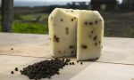 Formaggio al Pepe Nero contaminato da Escherichia: ritirato dal mercato