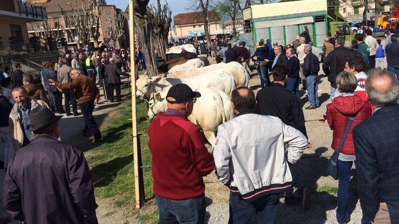 Torna la festa patronale del Cristo Risorto a Cherasco
