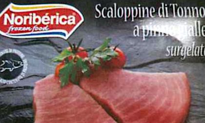 Istamina nelle scaloppine di tonno a pinne gialle: ritirate in tutto il Nord Italia