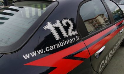 Macello islamico abusivo a Saluzzo scoperto dai Carabinieri Forestali