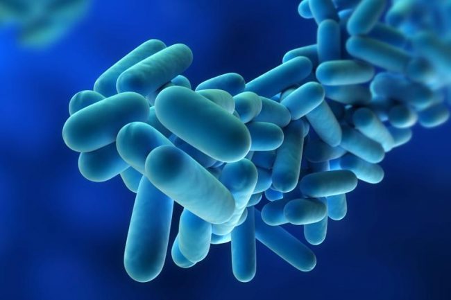 Nuovo allarme legionella: due casi nel Vigevanese