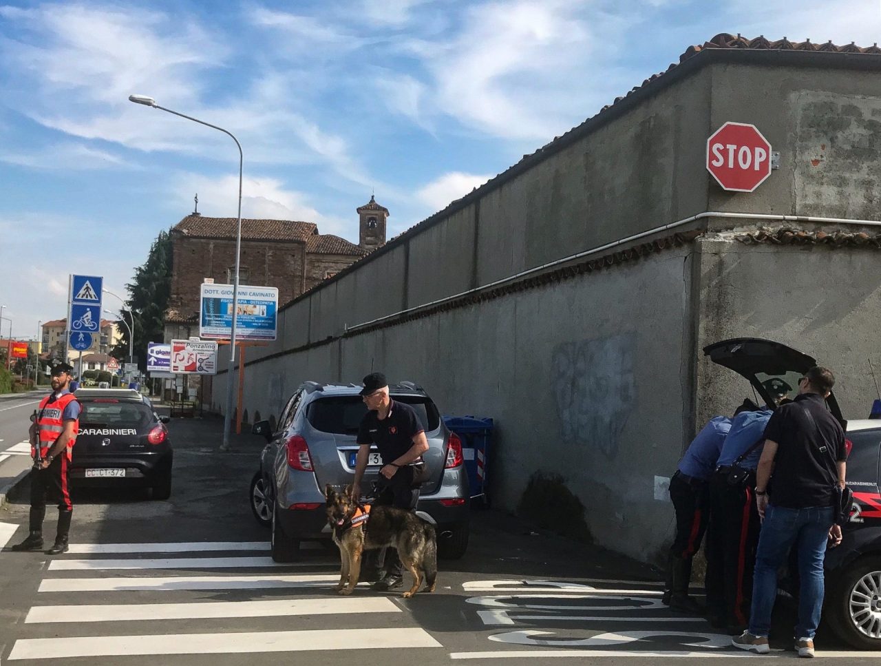 Cani antidroga per le vie di Saluzzo: giovanissimi segnalati