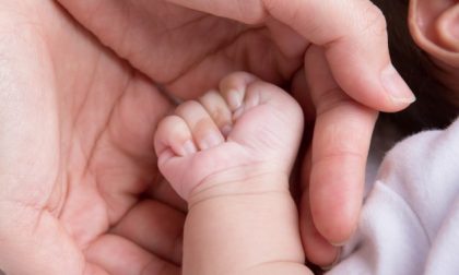 All'ospedale di Cuneo nel 2021 sono nati 68 bambini in più rispetto al 2020