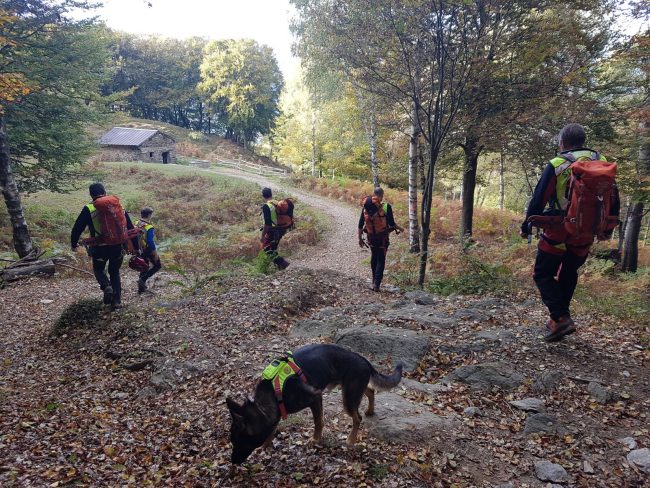 Inizia la stagione dei funghi, ecco i consigli del Soccorso Alpino