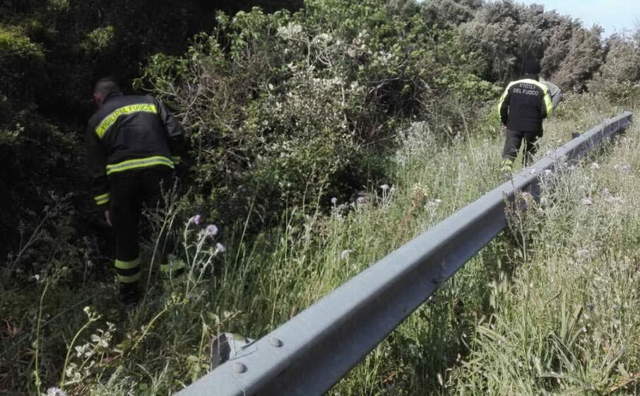 Cercatore di funghi disperso a Melle, lo ritrovano dopo due ore