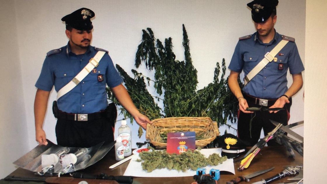 Autotrasportatore  a Moretta coltivava e vendeva droga, arrestato