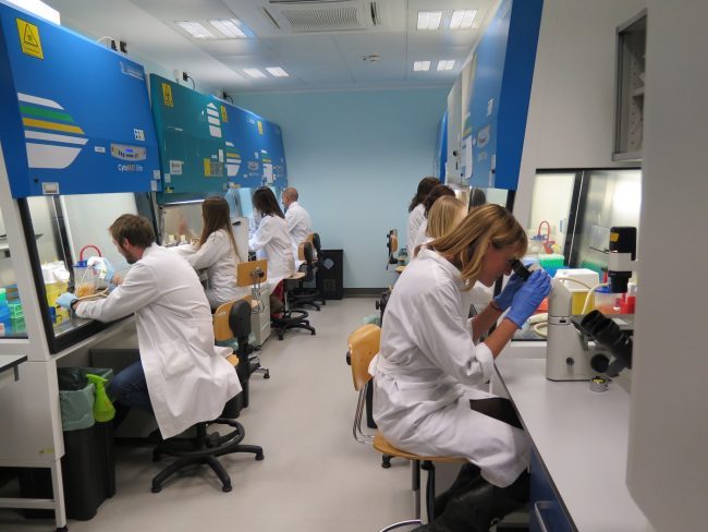 Tumore al colon: da Candiolo nuove speranze per i malati