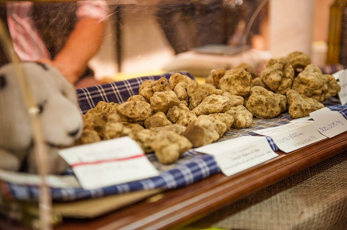 Nuova consulta per la valorizzazione del patrimonio tartufigeno piemontese