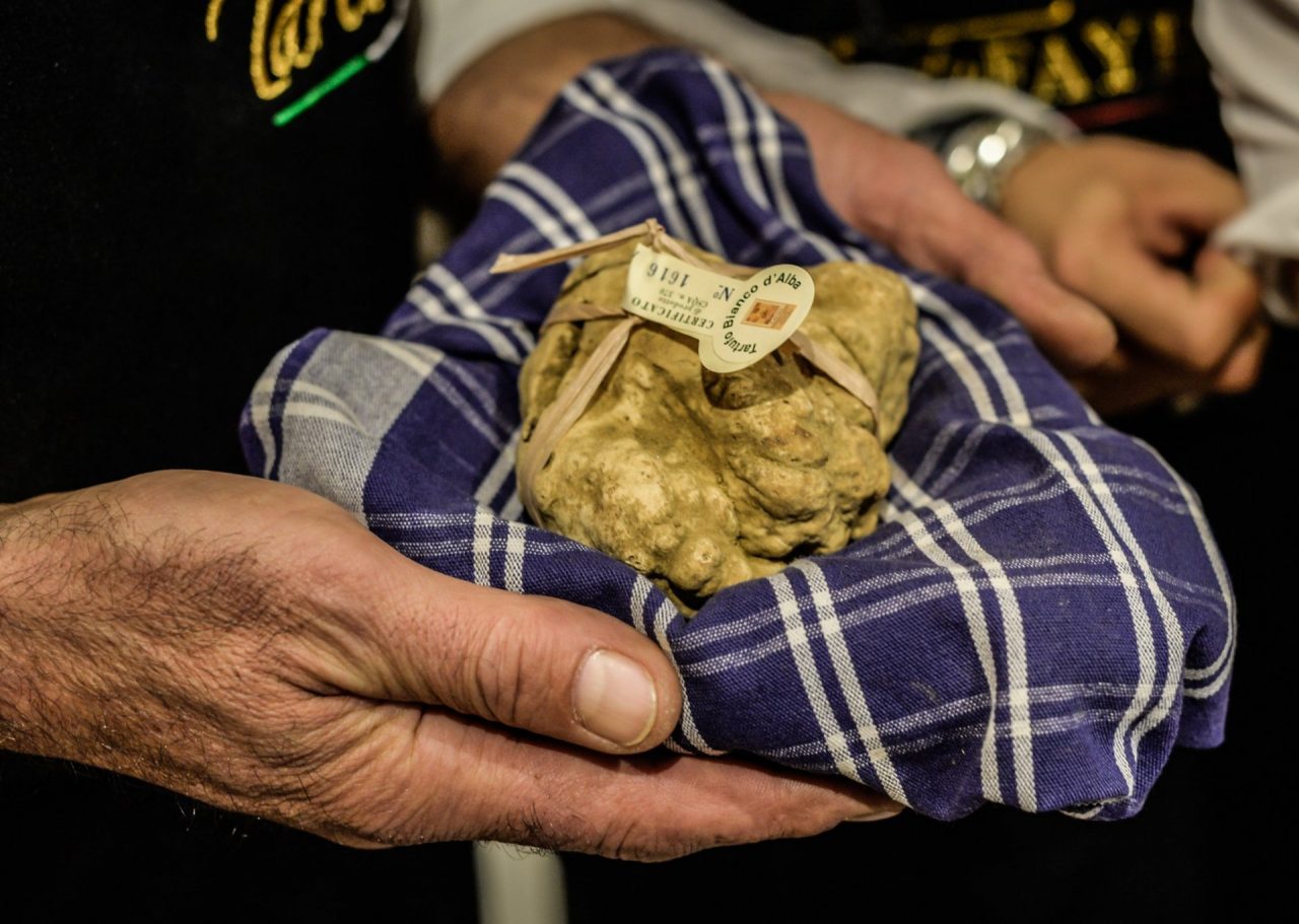 La 90ª edizione della Fiera internazionale del Tartufo bianco d’Alba diventa digitale