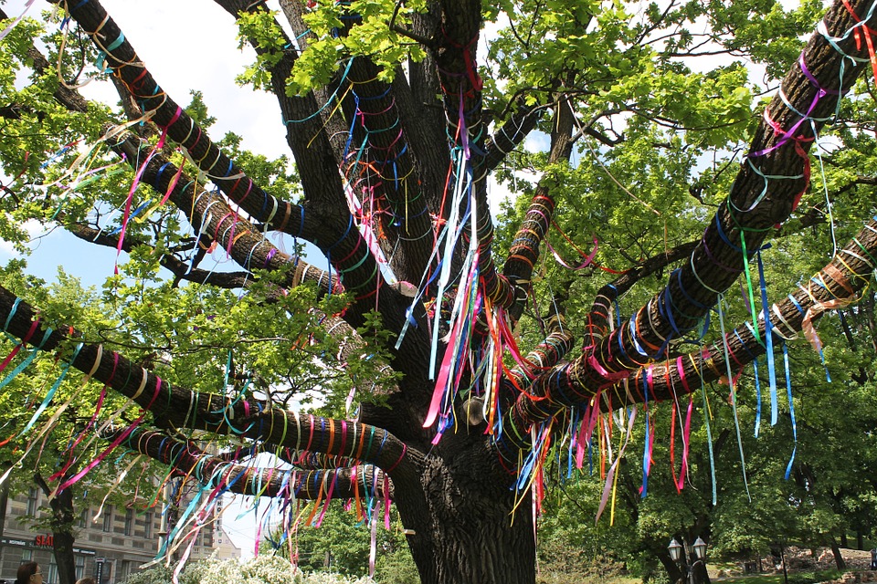 Festa dell’Albero a Bra