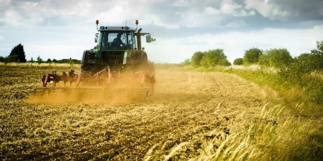Agricoltura, mancano i braccianti agricoli. Gli agricoltori: “Siamo in difficoltà”
