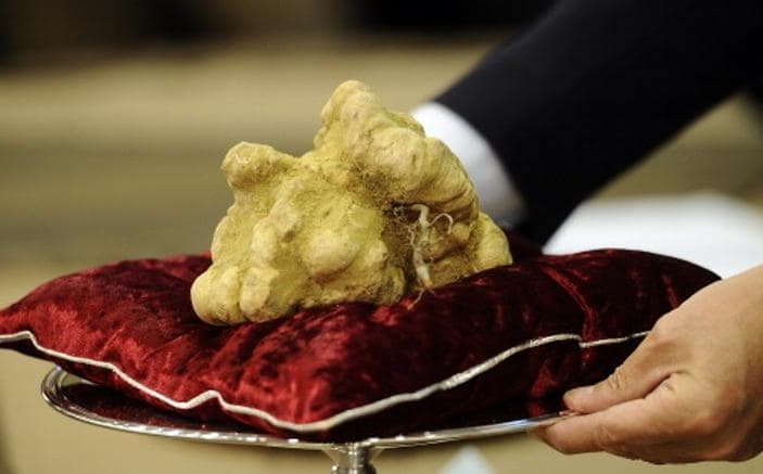 Asta record, il tartufo da 120mila euro vola a Hong Kong
