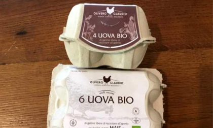 Uova prodotte a Cuneo ritirate dal mercato per contaminazione microbiologica