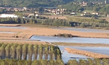 Maltempo in Piemonte, il pesante bilancio è di un morto e un disperso