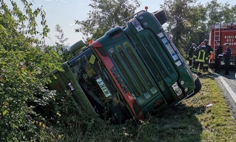 Camion carico di suini si ribalta: morti 200 maiali su 400