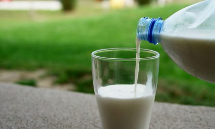 Prezzo del latte alle stelle: "2 euro al litro entro dicembre"