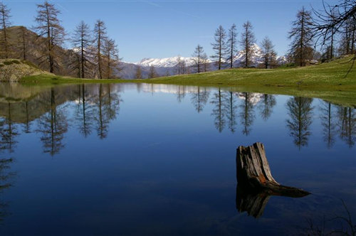 “Piemonte Innovazione 2020”: si aggiudica il primo premio l’Unione Montana Valle Maira