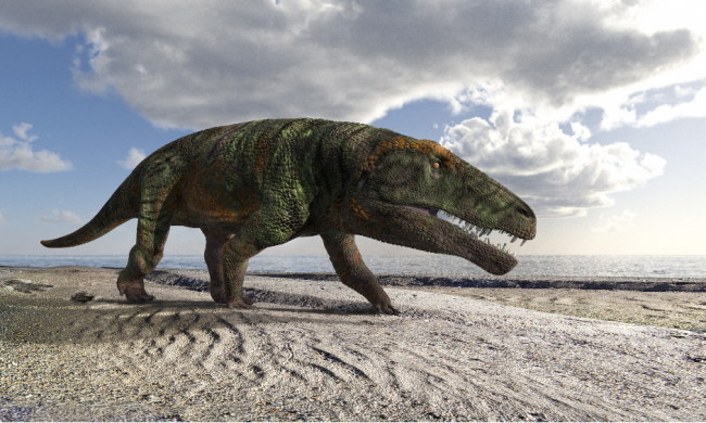 Val Maira, scoperta l’impronta di un grande rettile vissuto 250 milioni di anni fa
