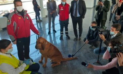 Cani anti-Covid, al Cuneo Airport parte il progetto pilota