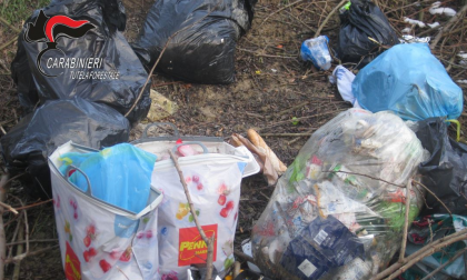 Dieci metri cubi di rifiuti abbandonati nei boschi, 600 euro di multa ai responsabili