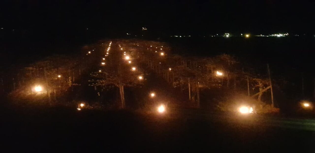 Nel saluzzese si salvano i frutteti dal gelo della notte con piccoli fuochi tra gli alberi