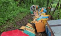 Intera attività di un apicoltore cuneese distrutta dai vandali, in 24 ore raccolti 44mila euro per aiutarlo