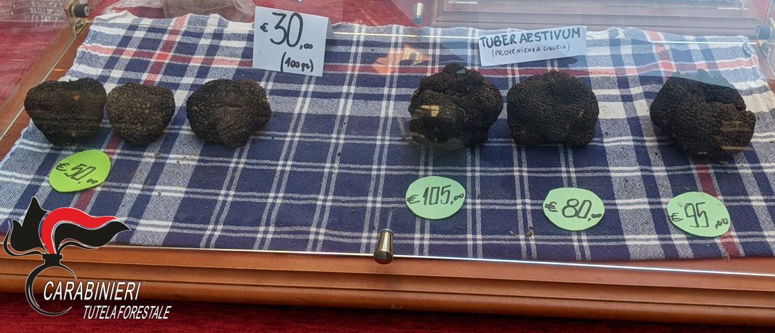 Commerciava una particolare specie di tartufo nero “fuori stagione” per sbaragliare la concorrenza