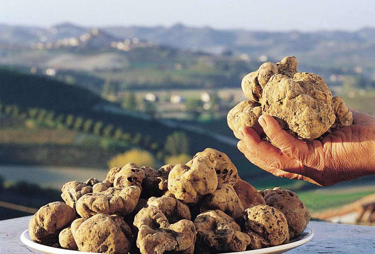 Tartufo, la Cerca e cavatura diventa Patrimonio immateriale Unesco