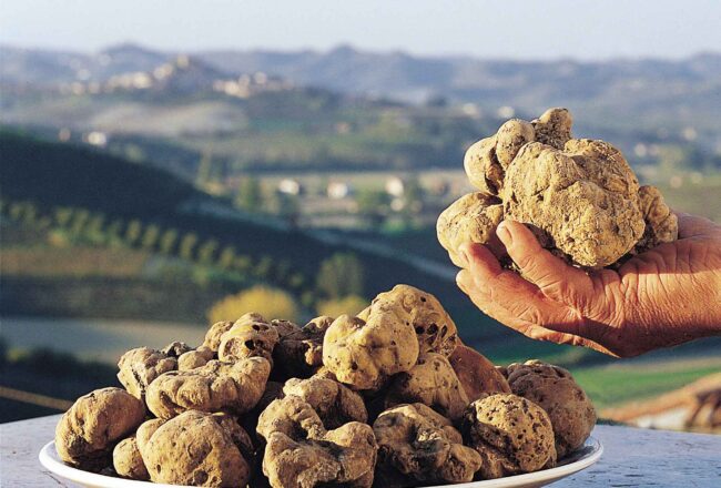 Staffelli e Mercalli, ospiti d’onore all’evento del “Tartufo Bianco d’Alba Rocche del Roero”