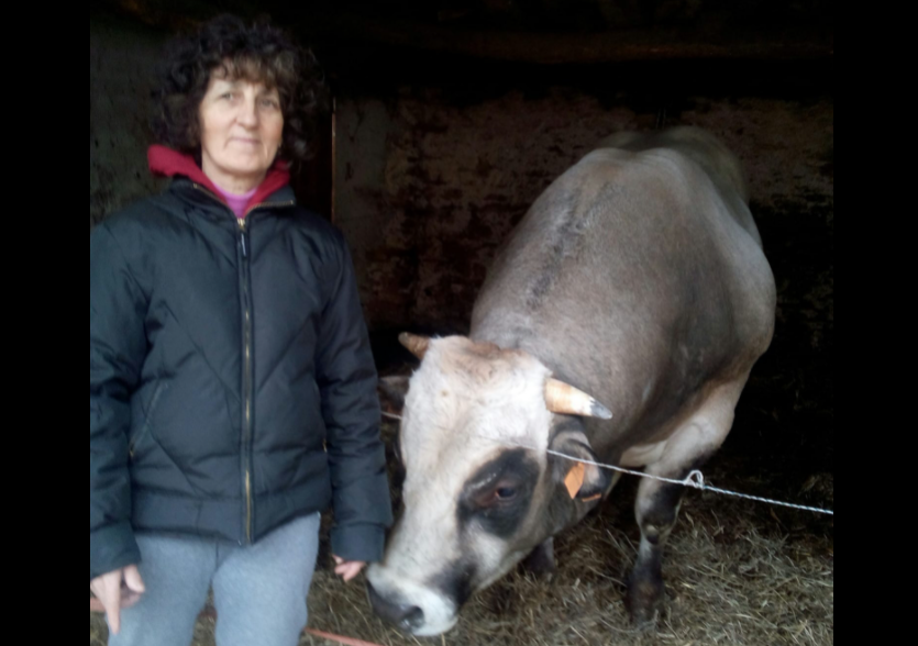Bagnolo Piemonte, 60enne muore incornata da un toro