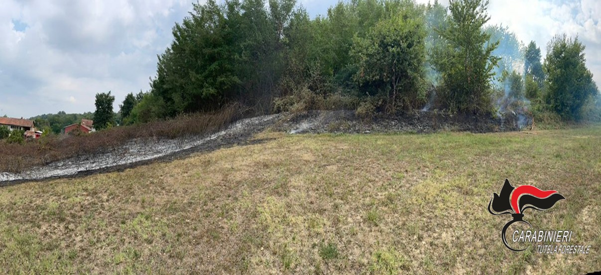 Anno drammatico per gli incendi boschivi: 36 verbali da inizio anno