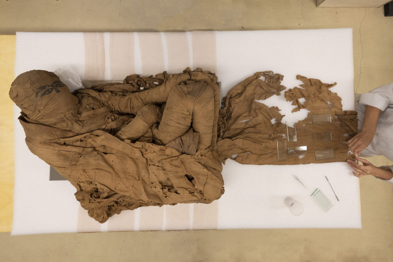Una mummia di 4500 anni fa in mostra a Palazzo Mathis di Bra
