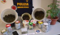 Spacciava marijuana a Fossano: arrestato 28enne di origini romene