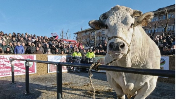 Un convegno scientifico dalla parte dei consumatori alla Fiera del Bue Grasso di Carrù
