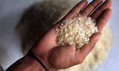 Coltivazione del riso: in arrivo aiuti per 15 milioni