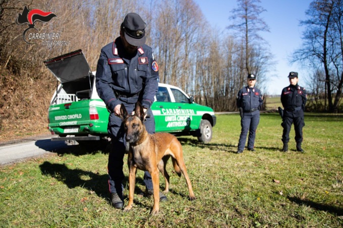 Due episodi di avvelenamento di cani a Cherasco