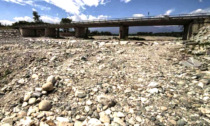 Confagricoltura:“Emergenza siccità in Piemonte, si dichiari lo stato di calamità naturale”