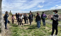 "Picnic in vigna”, turisti e albesi alla scoperta di biodiversità  tra i filari della vigna urbana di Alba