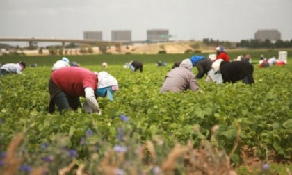 Coldiretti Cuneo tornano a sollecitare il rilascio dei nulla osta per consentire agli extracomunitari di entrare in Italia