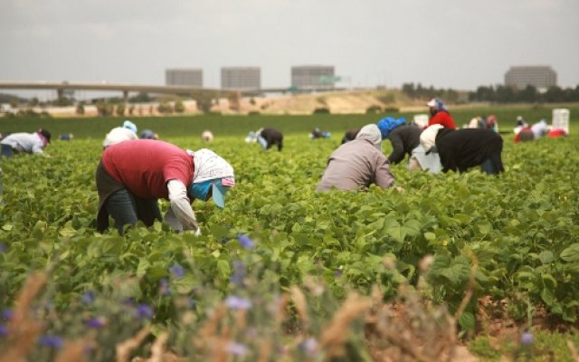 Coldiretti Cuneo tornano a sollecitare il rilascio dei nulla osta per consentire agli extracomunitari di entrare in Italia