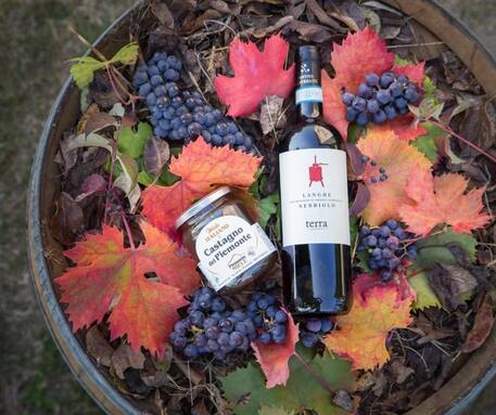 Cooperative, alleanza tra Cantina Clavesana e Piemonte Miele