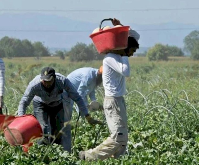 Stagionali, Coldiretti: “-32% di lavoratori extra UE nella Granda”