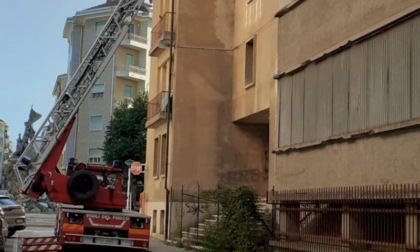 Gatto bloccato sul tetto dell'ex Politecnico: recuperato dai pompieri
