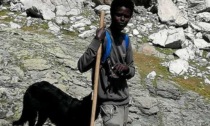 Cuneo, pastore perde il cane e lancia un appello social agli escursionisti delle montagne