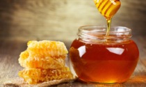 Miele: perso il 30% della produzione cuneese