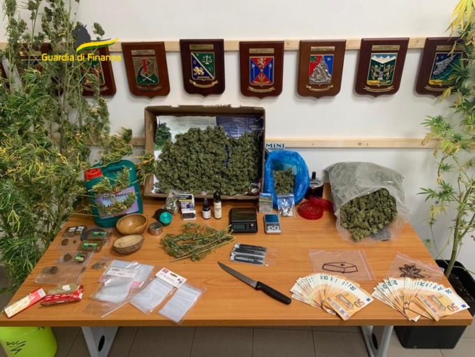 Operazione VOX”, il Gruppo di Bra ha sequestrato una piantagione di marijuana dal valore di oltre 60mila euro